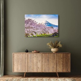 Tablou - Japonia în primăvară (90x60 cm)
