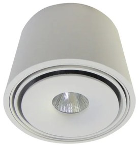Spot LED aplicat directionabil de tavan/plafon BOSTON TUBE alb ZZ AZ3469