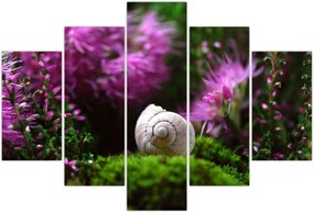 Tablou - Cochilie de melc (150x105 cm)