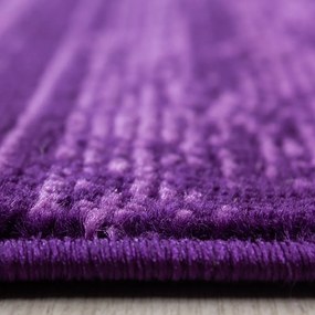 Covor tip traversă violet 80x300 cm Plus – Ayyildiz Carpets