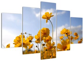 Tablou - Câmp cu flori galben deschis (150x105 cm)