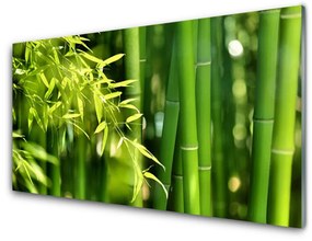 Tablou pe sticla Frunze de bambus verde florale