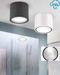 Spot LED aplicat cu protectie la umiditate IP65, SPUTNIK 14,5cm, negru