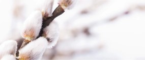 Tablou - Ramură (120x50 cm)