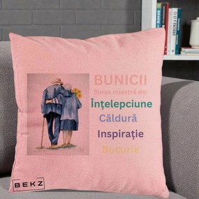 Cadou pentru Bunici - Perna Personalizata Bunicii Sursa Intelepciune Caldura Acuarela, 40x40 cm, Roz, Husa Detasabila, Perna Inclusa, BEKZ®
