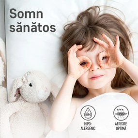 Set 2 perne Sleep by Green Future 10% puf gasca 90% pana de gasca, 50x70 cm