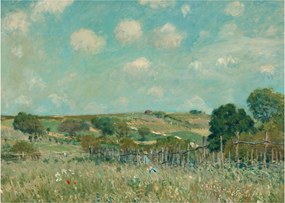 Tablou - Alfred Sisley,  Meadow, reproducere (70x50 cm)