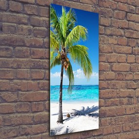 Tablou acrilic Plaja tropicala