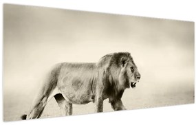 Tablou - Leul flămând (120x50 cm)