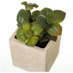 Plante artificiale 6 buc. (înălțime 9,5 cm) Cactus – Casa Selección