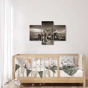 Tablou cu leii alb negri (90x60 cm)