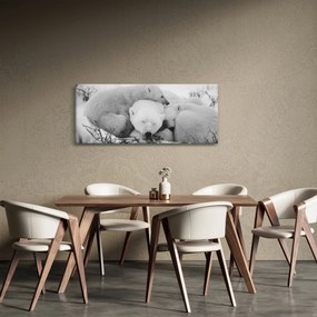 Tablou - Urșii polari (120x50 cm)
