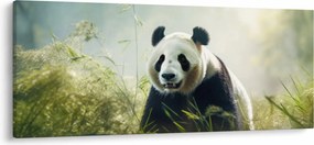 Tablou - Panda (120x50 cm)
