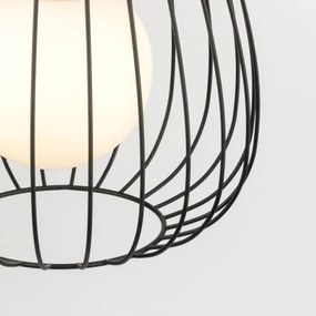 Lustră pe cablu BELL 1xG9/12W/230V d. 24 cm negru/crom lucios