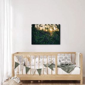 Tablou - Soarele strălucind printre crengile copacilor (70x50 cm)