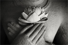Tablou - Lotus în mâinile lui Buddha (90x60 cm)
