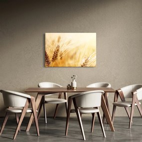 Tablou- detaliu cu (90x60 cm)