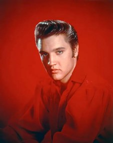 Fotografie Elvis Presley 1956