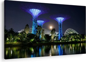 Tablou cu lună plină în grădinile din Singapur (90x60 cm)