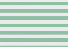 Lenjerie de pat din bumbac STRIPES alb-verde Dimensiune lenjerie de pat: 70 x 90 cm | 140 x 220 cm