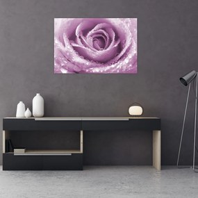 Tablou detaliu de floare de trandafir (90x60 cm)