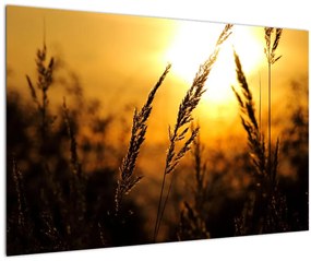 Tablou - Apus de soare (90x60 cm)