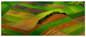 Tablou - Lan, luncile (120x50 cm)