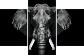 Tablou - Elefant pe fundal negru (90x60 cm)