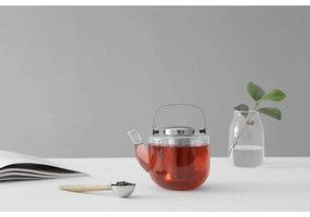 Ceainic BJORN Viva Scandinavia V34301, 650 ml, Maner rece, Infuzor, Capac inox, Transparent