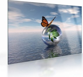 Tablou pe sticlă cu fluture pe bilă din sticlă (70x50 cm)