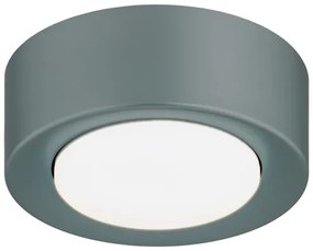 Argon 8917 - Plafonieră ELORA 1xGX53/7W/230V, Ø 11 cm, gri