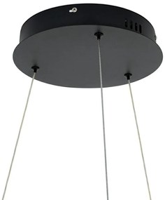 Lustra LED cu telecomanda Garden Wisteria 90