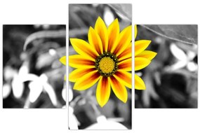 Tablou cu floare galbenă (90x60 cm)