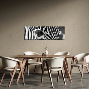 Tablou cu zebră (cu ceas) (90x30 cm)
