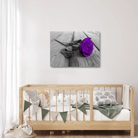 Tablou pe sticlă - Trandafir violet cu tulpina verde (70x50 cm)