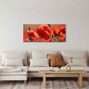 Tablou cu flori de maci (120x50 cm)