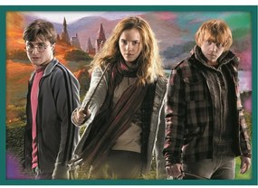 Puzzle Trefl Harry Potter, 10în1