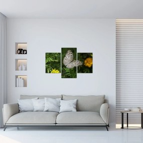 Tablou - fluture alb (90x60 cm)