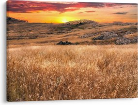 Tablou cu câmp (70x50 cm)