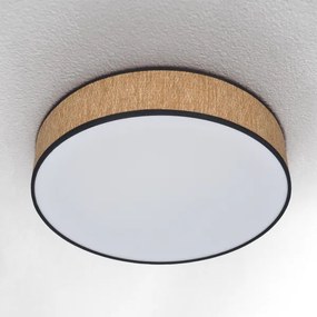 Plafonieră LED dimabilă Brilagi ADELA LED/48W/230V 3000-6500K + telecomandă