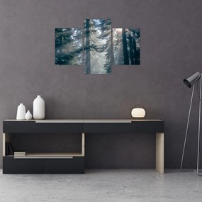 Tablou cu copaci și soarele translucind (90x60 cm)