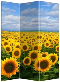 Paravan - Lan de floarea soarelui (126x170 cm)