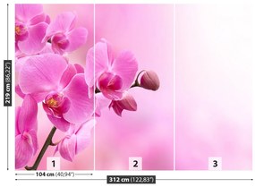 Fototapet roz Orhidee
