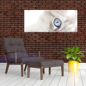 Tablou - Pisica cu ochi albaștri (120x50 cm)