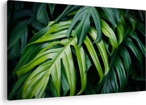 Tablou - Frunze tropicale (90x60 cm)