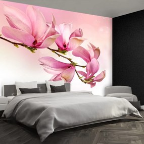 Fototapet Magnolie