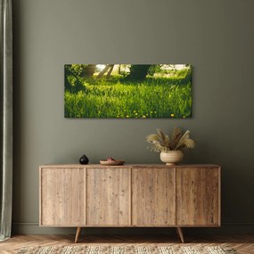 Tablou cu natura - lunca (120x50 cm)