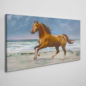 Tablou canvas plajă coasta cal mare valuri