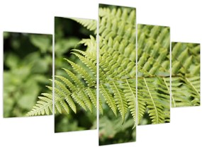 Tablou - Frunză de ferigă (150x105 cm)