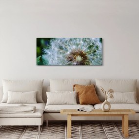 Tabloul cu păpădie desflorit (120x50 cm)